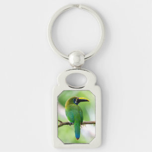 Northern Emerald-Toucanet in Costa Rica Key Ring