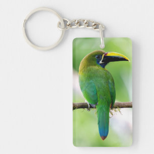 Northern Emerald-Toucanet & Red Headed Barbet Key Ring