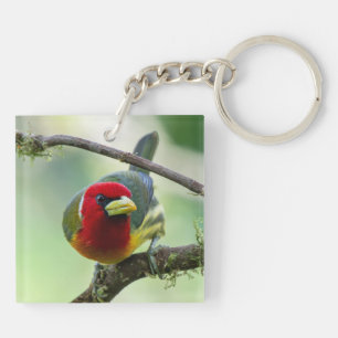 Northern Emerald-Toucanet & Red Headed Barbet Key Ring