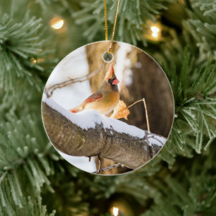 Northern (Female) Cardinal   Ceramic Ornament