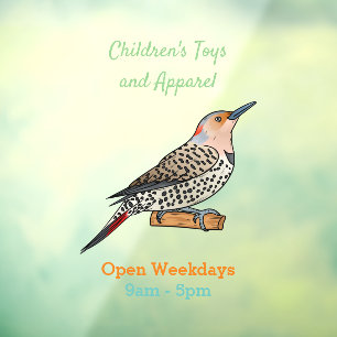 Northern flicker bird cartoon illustration