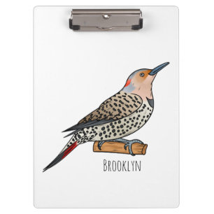 Northern flicker bird cartoon illustration clipboard