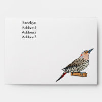 Northern flicker bird cartoon illustration