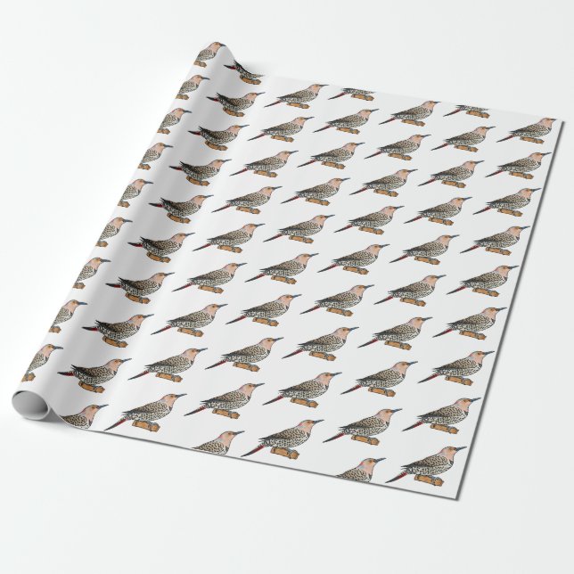 Northern flicker bird cartoon illustration wrapping paper (Unrolled)