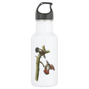 Northern Flicker by Audubon 532 Ml Water Bottle