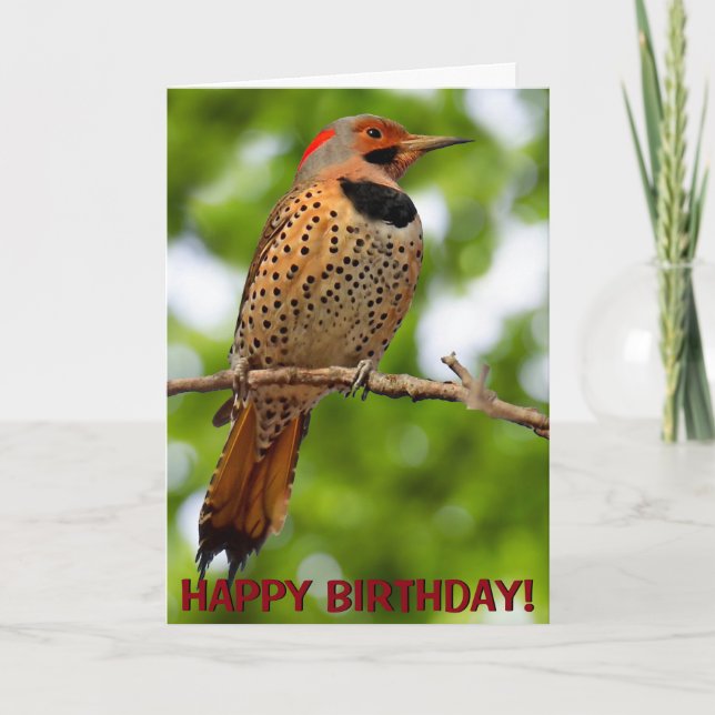 Northern flicker customisable greetings card (Front)