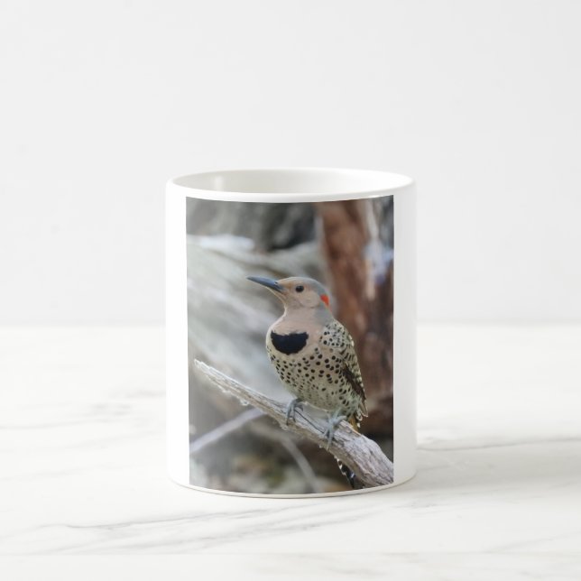 Northern Flicker Mug  (Center)