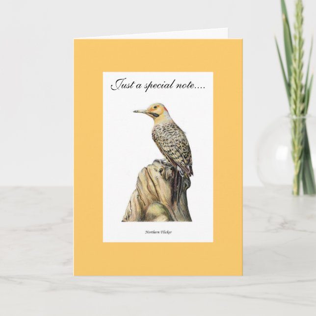 Northern Flicker Thank You Card (Front)