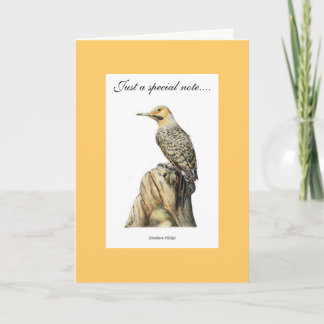 Northern Flicker Thank You Card