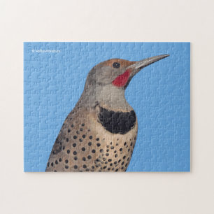 Northern Flicker Woodpecker in the Sun Jigsaw Puzzle