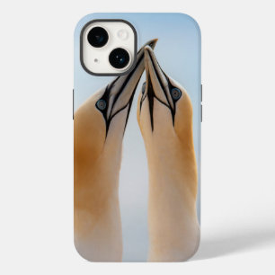 Northern Gannets Heligoland Germany Morus Case-Mate iPhone 14 Case