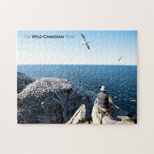 Northern Gannets Jigsaw Puzzle (Horizontal)