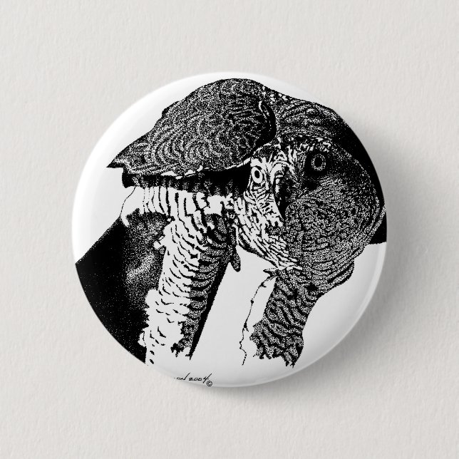 Northern Goshawk 6 Cm Round Badge (Front)