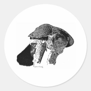 Northern Goshawk Classic Round Sticker