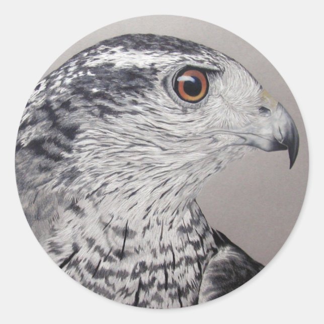 Northern Goshawk Classic Round Sticker (Front)