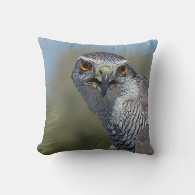 Northern Goshawk Close Up Cushion (Front)
