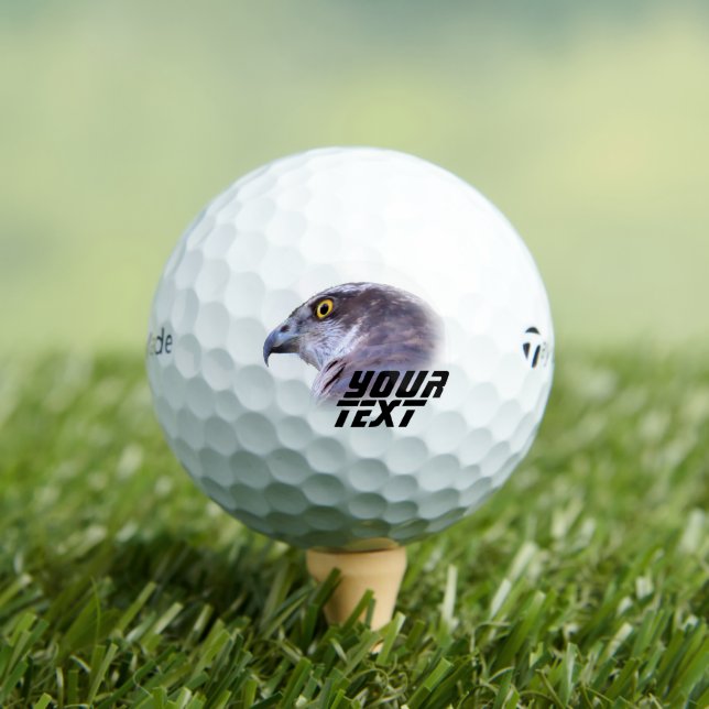 Northern Goshawk Golf Balls (Insitu Tee)