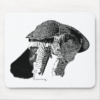 Northern Goshawk Mouse Pad