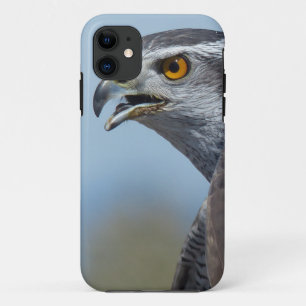 Northern Goshawk Screeching iPhone 11 Case