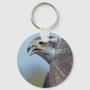Northern Goshawk Screeching Key Ring