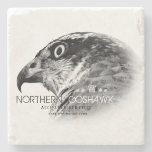 Northern Goshawk Stone Coaster