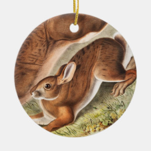 Northern Hare (Lepus Americanus) Illustration Ceramic Ornament