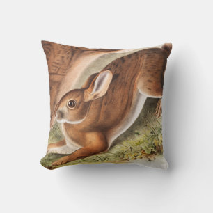 Northern Hare (Lepus Americanus) Illustration Cushion
