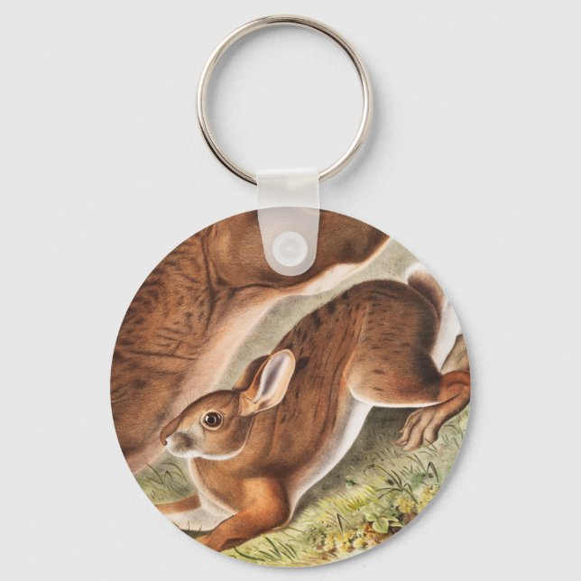 Northern Hare (Lepus Americanus) Illustration Key Ring (Front)