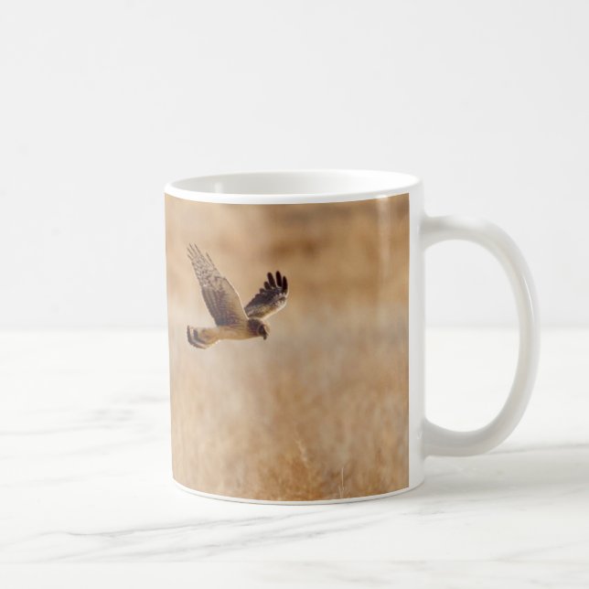 Northern Harrier Coffee Mug (Right)