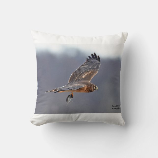 Northern Harrier Cushion (Front)