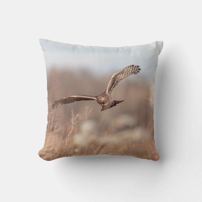 Northern Harrier Cushion (Front)