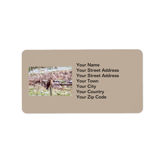 Northern Harrier Hawk on Fence Label (Front)