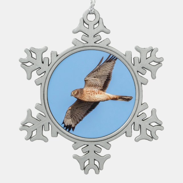 Northern Harrier in Flight Snowflake Pewter Christmas Ornament (Front)