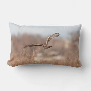 Northern Harrier Lumbar Cushion
