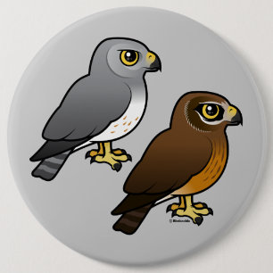 Northern Harrier pair 6 Cm Round Badge