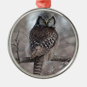 Northern Hawk Owl Metal Tree Decoration