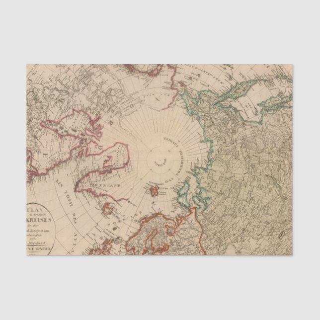 Northern Hemisphere, Arctic Tissue Paper (Front)