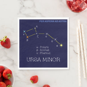 Northern Hemisphere Constellation Ursa Minor Napkin