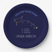 Northern Hemisphere Constellation Ursa Minor