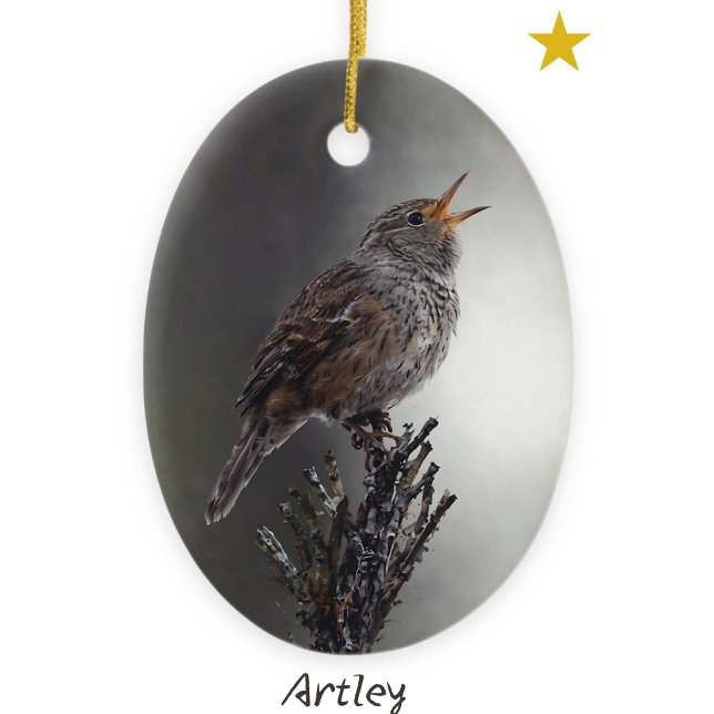 Northern House Wren Bird Painting Year Holiday Ceramic Ornament (Creator Uploaded)