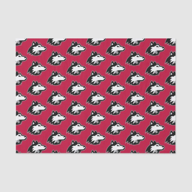 Northern Illinois Huskies | Graduation Tissue Paper (Front)