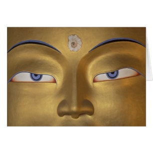 Northern India, Ladakh, Thikse gompa