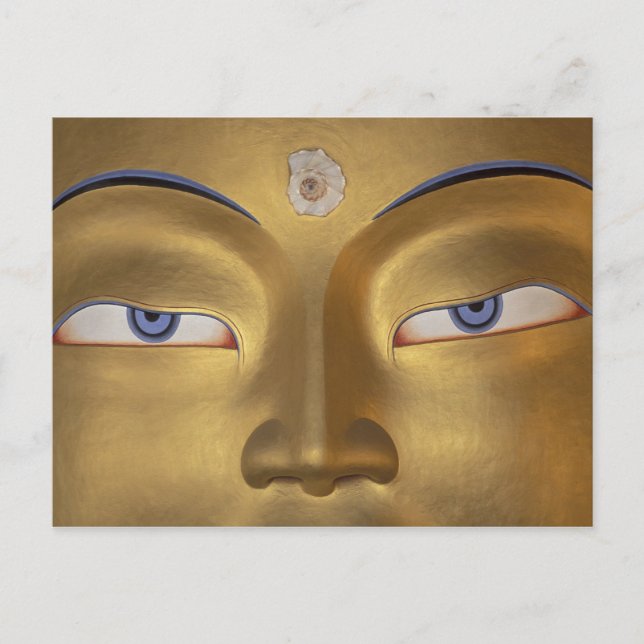 Northern India, Ladakh, Thikse gompa Postcard (Front)