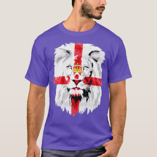 northern ireland 2 T-Shirt