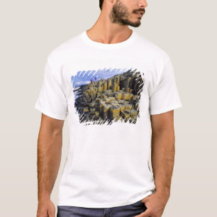 Northern Ireland, County Antrim, Giant's T-Shirt