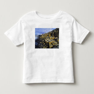 Northern Ireland, County Antrim, Giant's Toddler T-Shirt