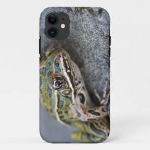 Northern Leopard frog, See-through Island, iPhone 11 Case