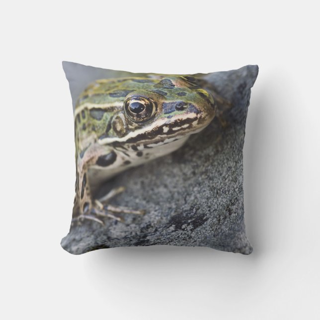 Northern Leopard frog, See-through Island, Cushion (Front)