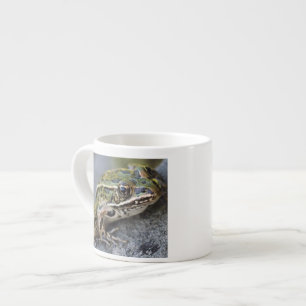 Northern Leopard frog, See-through Island, Espresso Cup