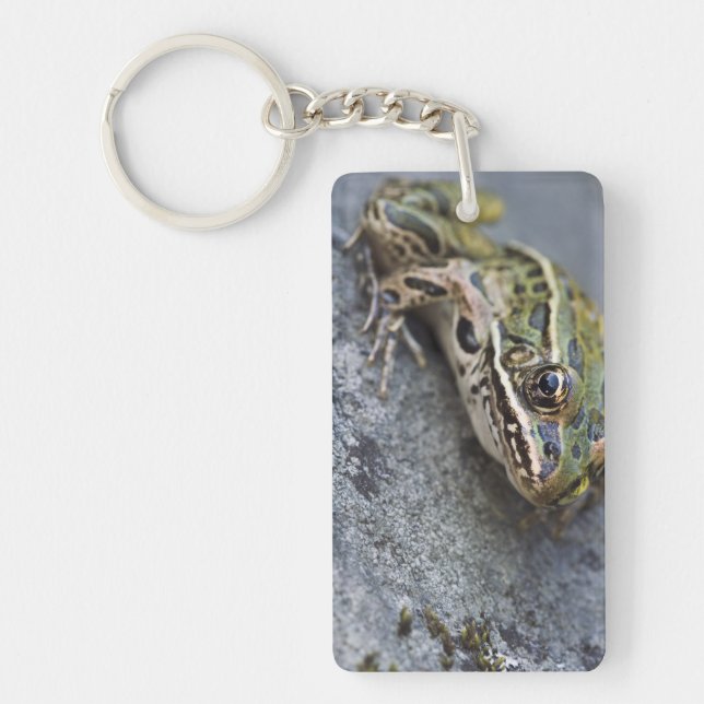 Northern Leopard frog, See-through Island, Key Ring (Front)